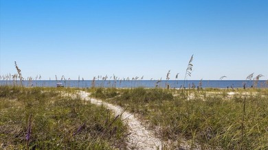 The *Quirky Crab* on Alligator Point is everything you are - photo 45