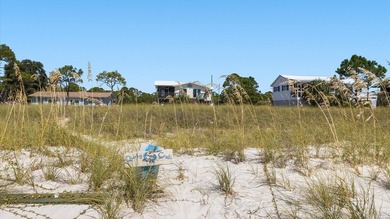 The *Quirky Crab* on Alligator Point is everything you are - photo 46