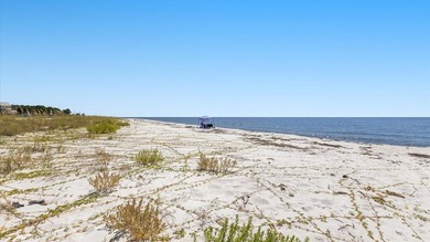 The *Quirky Crab* on Alligator Point is everything you are - photo 49