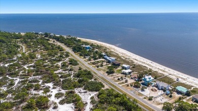 The *Quirky Crab* on Alligator Point is everything you are - photo 55