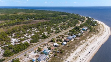 The *Quirky Crab* on Alligator Point is everything you are - photo 56