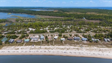 The *Quirky Crab* on Alligator Point is everything you are - photo 57