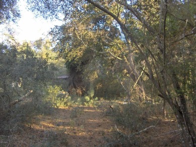 Building Lot Parcel B 3.395 Acres, Close to town, airport with - photo 9