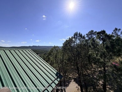 GREAT VIEWS WITH THIS MOUNTAIN STYLE HOME! Escape to this - photo 25