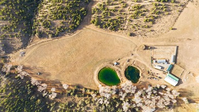 The Headwaters of Opportunity: Arrowhead Canyon Farm ~ A rare - photo 25