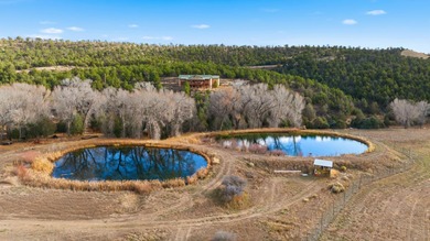 The Headwaters of Opportunity: Arrowhead Canyon Farm ~ A rare - photo 27