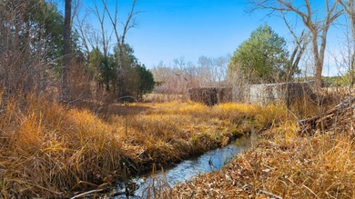 The Headwaters of Opportunity: Arrowhead Canyon Farm ~ A rare - photo 28