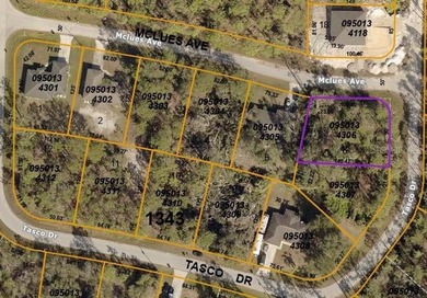 This Residential OVERSIZED Lot (12,435 SQ FT.) , sits in a quiet - photo 3