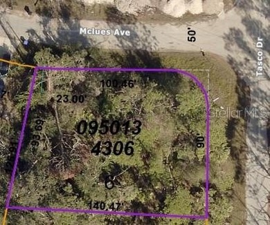 This Residential OVERSIZED Lot (12,435 SQ FT.) , sits in a quiet - photo 4