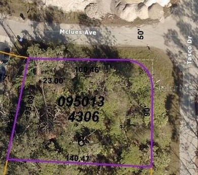 This Residential OVERSIZED Lot (12,435 SQ FT.) , sits in a quiet - photo 5