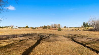 The Headwaters of Opportunity: Arrowhead Canyon Farm ~ A rare - photo 38