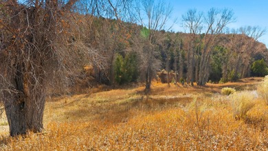 The Headwaters of Opportunity: Arrowhead Canyon Farm ~ A rare - photo 39