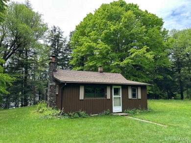 (private lake, pond, creek) Home For Sale in Watersmeet Michigan