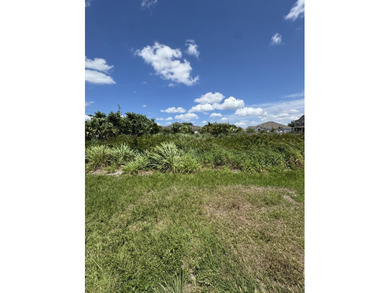 Rare opportunity to build your dream home on an oversized corner - photo 3