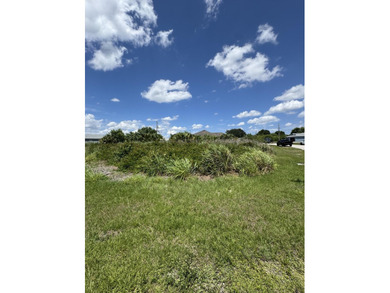 Rare opportunity to build your dream home on an oversized corner - photo 4