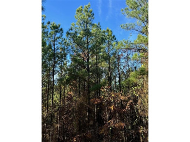 Lake Lot For Sale in Broken Bow, Oklahoma