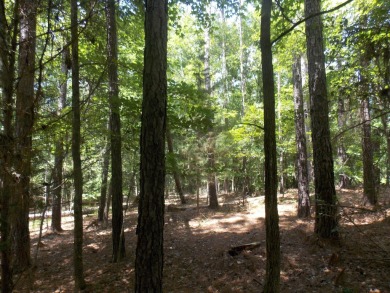 Lake Acreage For Sale in Tignall, Georgia