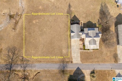 Lay Lake Lot For Sale in Columbiana Alabama