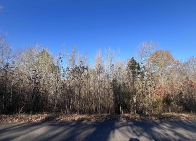 Lake Lot For Sale in Lonsdale, Arkansas