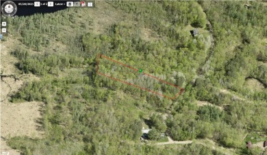 Lake Lot For Sale in Roosevelt Twp, Minnesota
