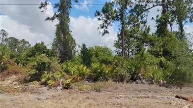 Lehigh Acres Area Lot Sale Pending in Lehigh Acres Florida