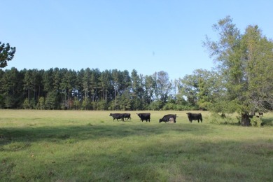  Acreage For Sale in Other Mississippi