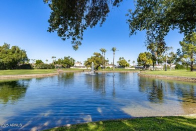 Sunlit & Stylish! Beautifully Renovated 2-Bed, 2-Bath Retreat