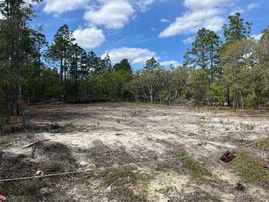 Bonable Lake Lot For Sale in Dunnellon Florida