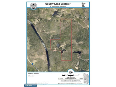 200 acres off the Crane Lake and Hoffman Rd in Buyck offers - Lake Acreage For Sale in Buyck, Minnesota