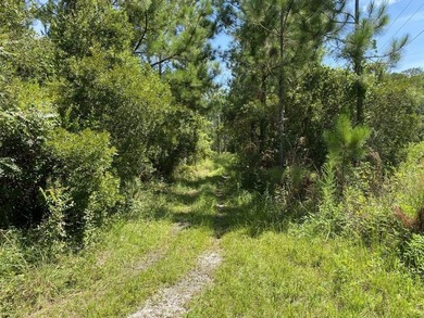 St. Johns River Acreage For Sale in Palatka Florida