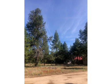 Lake Lot For Sale in Donnelly, Idaho
