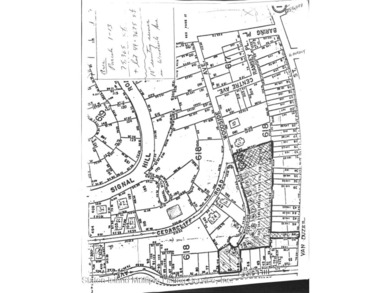 Raw land located on Grymes Hill - photo 6