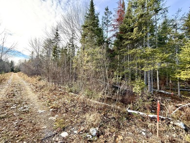 Little Pushaw Pond Acreage For Sale in Hudson Maine