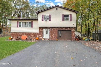 Lake Home For Sale in Dingmans Ferry, Pennsylvania