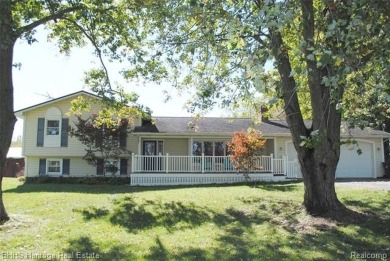 Lake Home For Sale in Webberville, Michigan