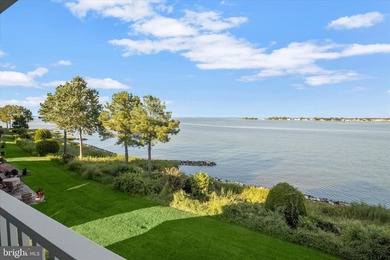 Perfectly positioned along the living shoreline of the Chester - photo 33
