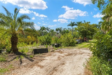 A unique, private piece of paradise tucked away in the heart of - photo 17