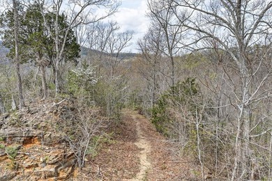 Cornerstone Parkway, West Pointe- Private, gated, wooded 4.55 - photo 3