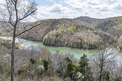 Cornerstone Parkway, West Pointe- Private, gated, wooded 4.55 - photo 4