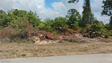Lehigh Acres Area Lot Sale Pending in Lehigh Acres Florida