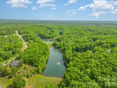 Move-in ready new construction in the gated lakefront community - photo 44