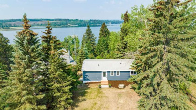 Lake Home For Sale in Red Deer County, Alberta