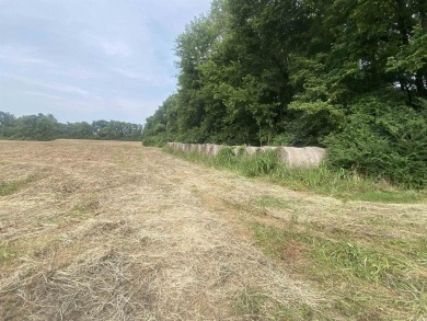 Get your lot near the Southfork of the Ouachita River! This lot - photo 11