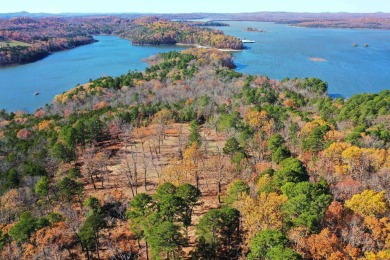 Lake Acreage For Sale in Jordan, Arkansas