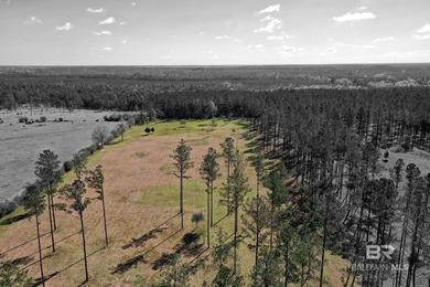 Cleared, unzoned, and full of potential, this beautiful 10-acre - photo 14