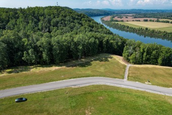 Watts Bar Lake Lot For Sale in Decatur Tennessee