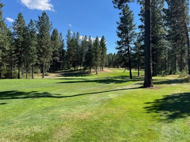 (private lake, pond, creek) Lot Sale Pending in New Meadows Idaho