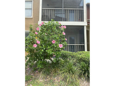 Welcome to paradise!  A beautifully maintained gated condominium - photo 1