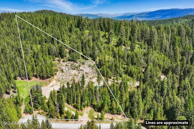 **Adjacent, additional 5 acre parcel also available at - photo 45