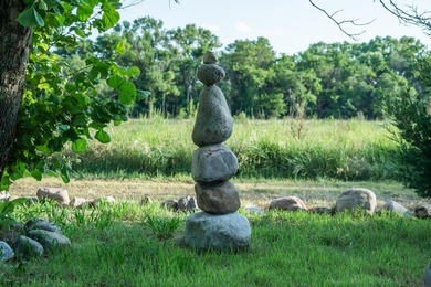 There are some properties that just stand apart and the KA-NEGA - photo 50